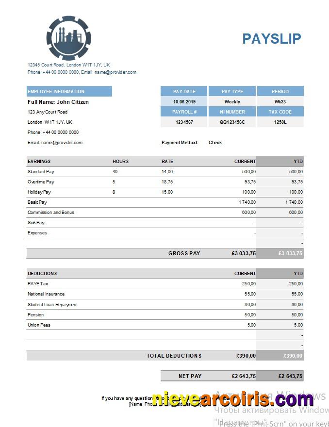 Chemical company payslip